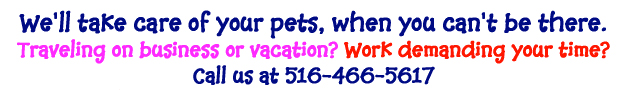 Long Island NY Pet Sitters