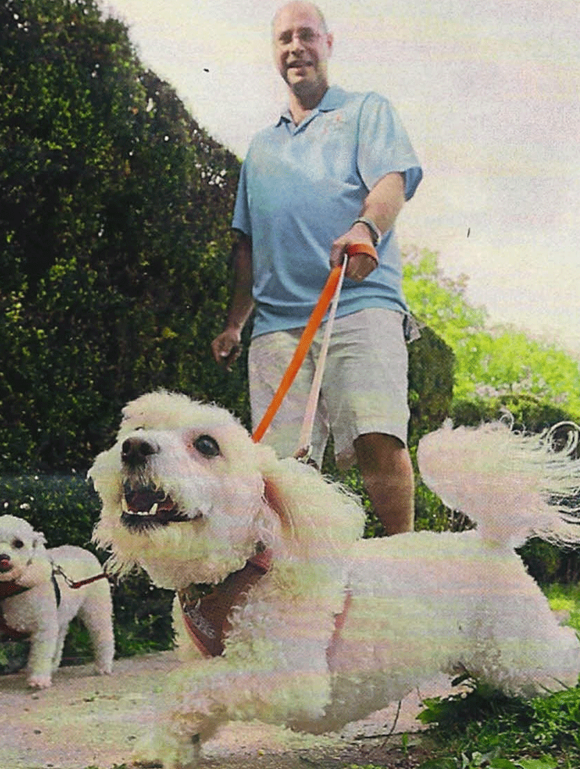 New York Dog Walkers, NY Pet Sitters New York Dog Walkers, NY Pet Sitters